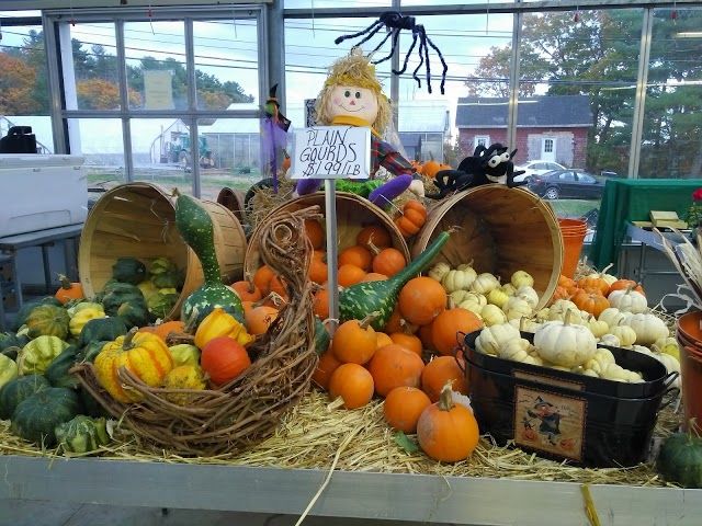 Flaherty's Family Farm